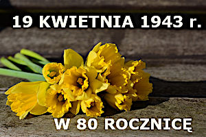Na szarym tle położony bukiet kwiatów żółtych żonkili. Powyżej białymi literami napisana data 19 kwietnia 1943 r. poniżej biały napis "w 80. rocznicę